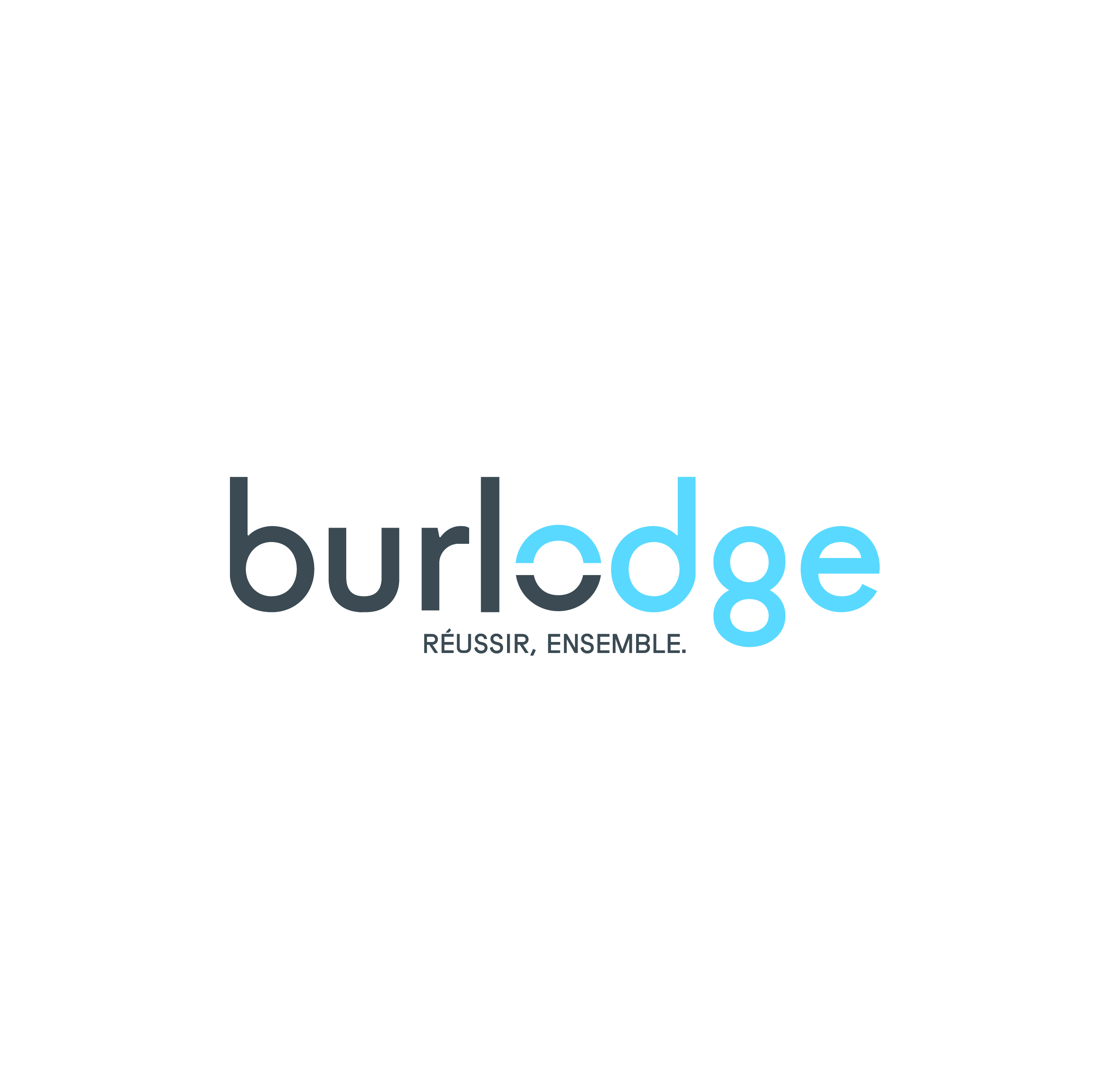 Burlodge LogoPayoffFR Positive